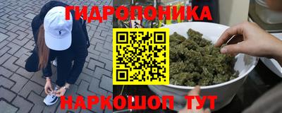 индика Коммунар